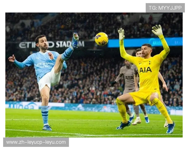 英超SPURS球队：热刺队（SPURS）在英超联赛中的历程与表现